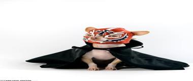 运动员步态分析与优化