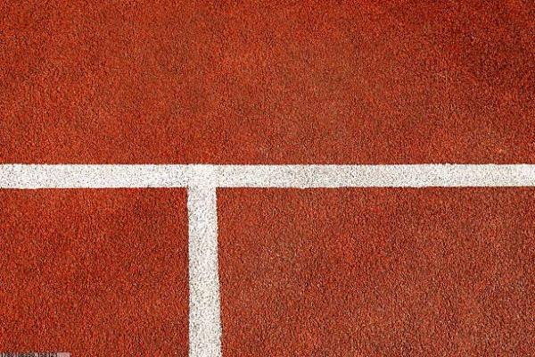 河南许昌体育项目市场趋势分析